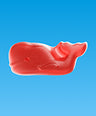 Wunderlicious whales